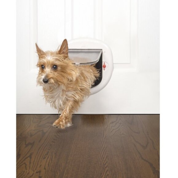 Locking Pet door for Small Pets Cats and Small Breed Dogs 0-25 lbs - Picture 5 of 6